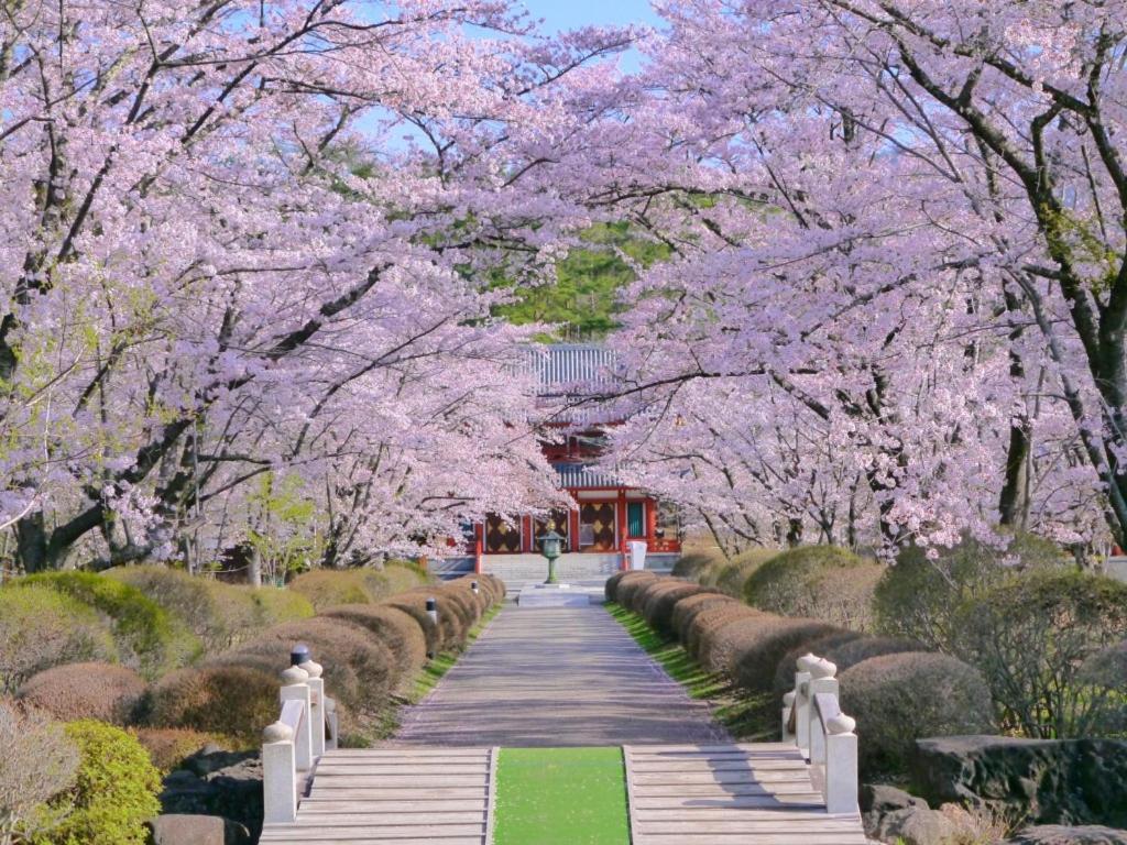 Tateshina Shinyu Onsen Otel Chino Dış mekan fotoğraf